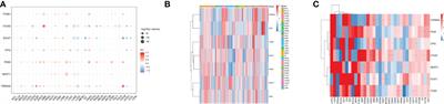 Pan-cancer analysis identifies migrasome-related genes as a potential immunotherapeutic target: A bulk omics research and single cell sequencing validation